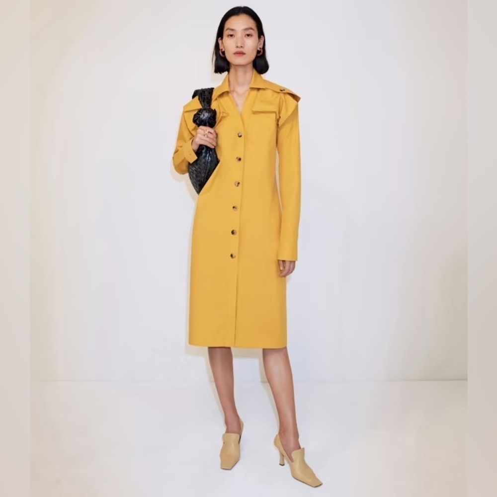 Bottega Veneta Size FR 38/US XS NWT Pre-Spring 2020 Frosted Poplin Dress (0064)
